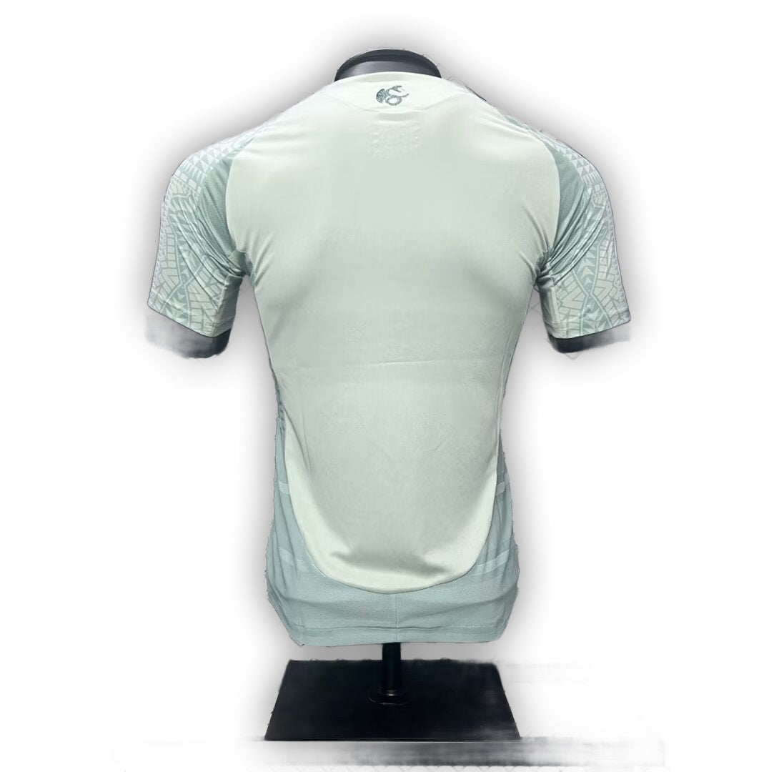 Mexico 2024/25 Away Player Version