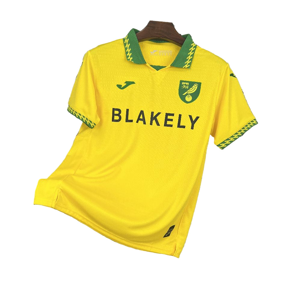 Norwich City 2025/26 Home