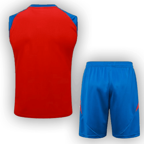 Spain 2024/25 Training Vest