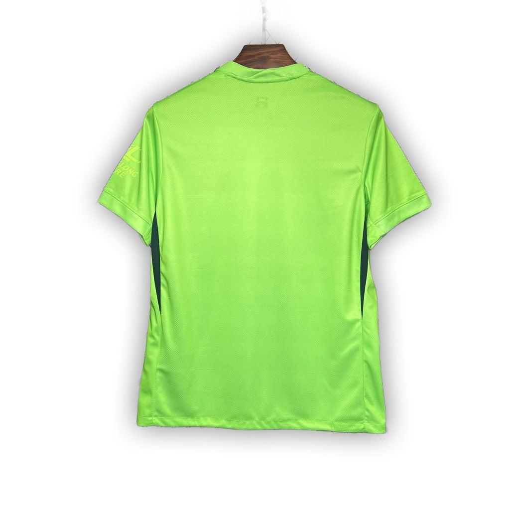 Wolfsburg 2024/25 Home