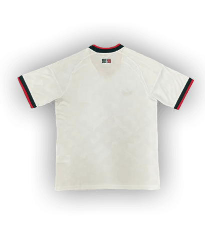 Mexico 2026 x Stussy Away