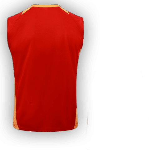 Bayern Munich 2024/25 Training Vest