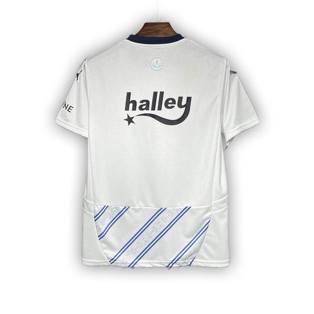 Fenerbahce 2024/25 Away