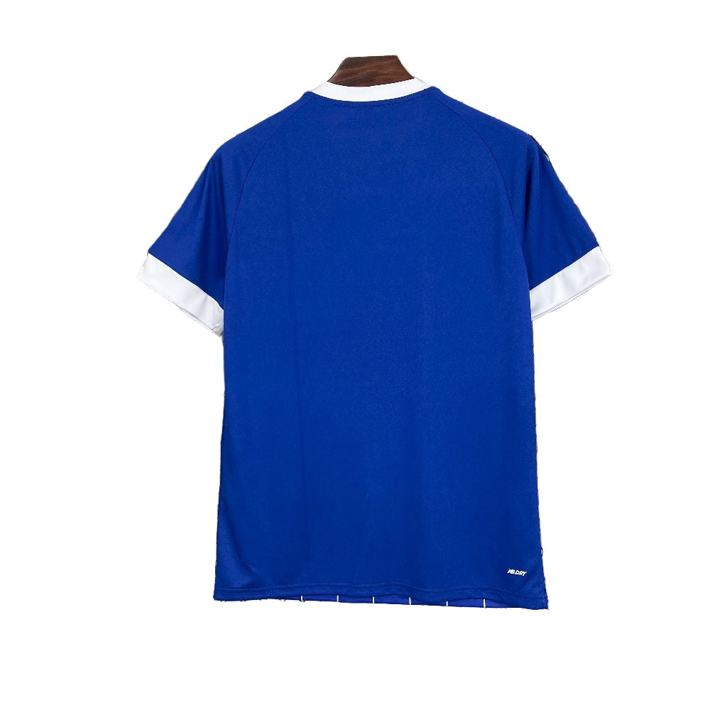 Cardiff City 2025/26 Home