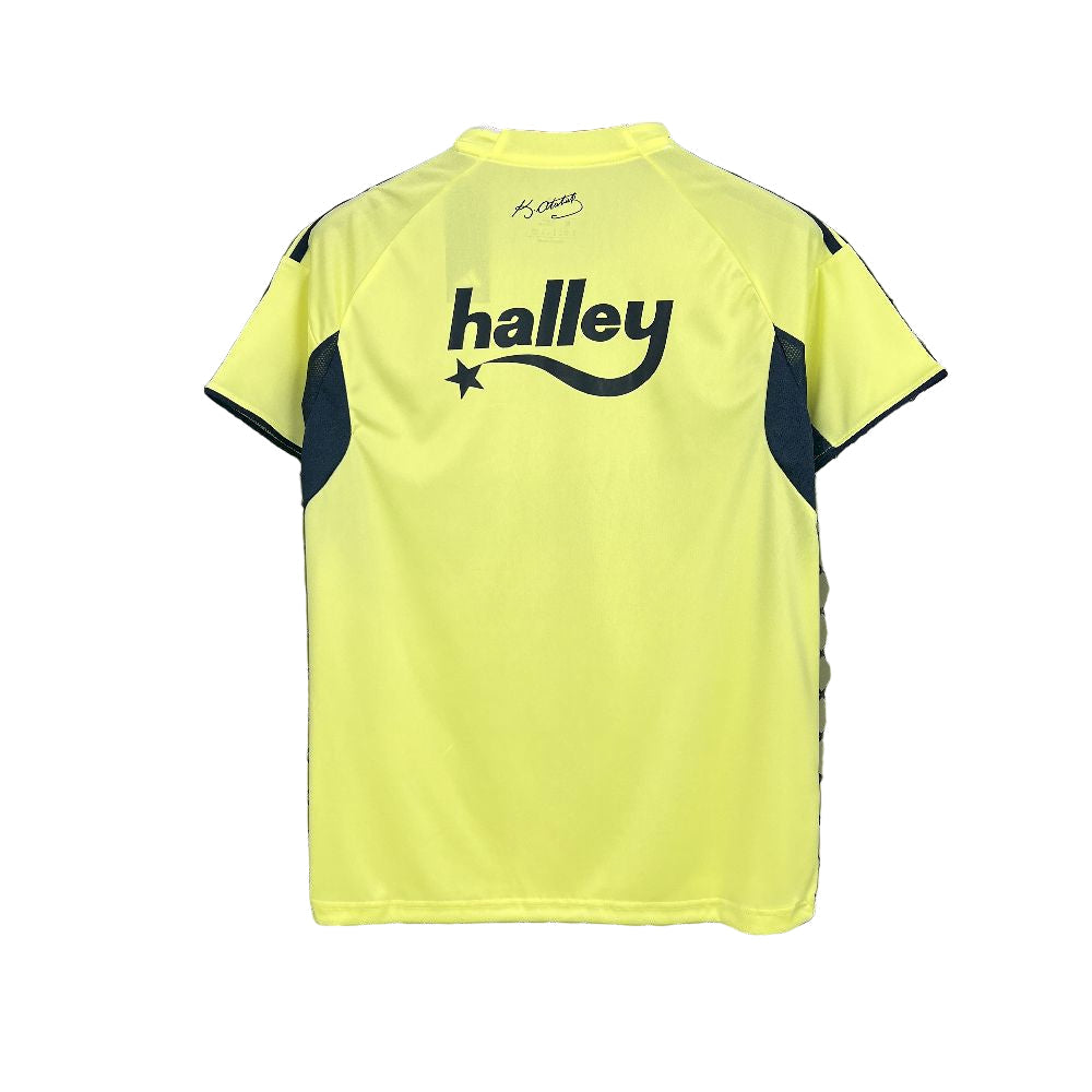 Fenerbahce 2025/26 Away